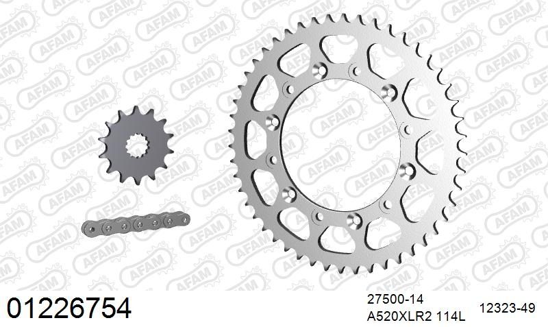520XRR3 114 ARS (CLIP) GOLD & SPROCKETS
