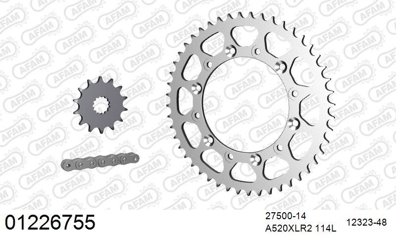 520XRR3 114 ARS (CLIP) GOLD & SPROCKETS