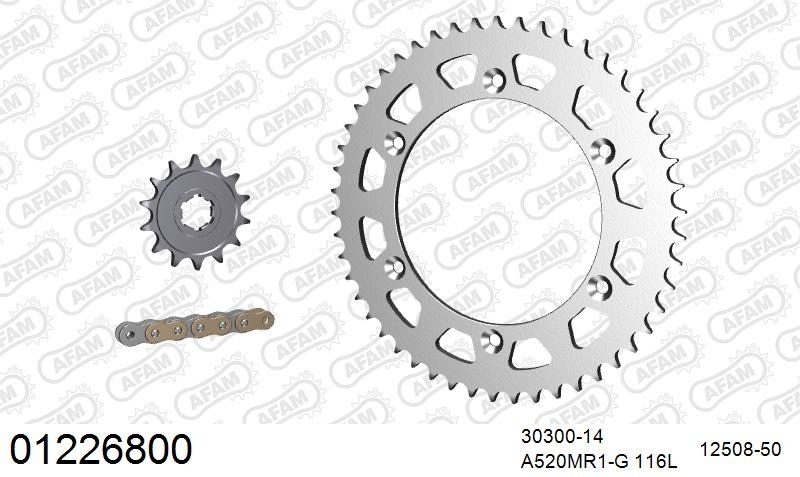 520MR2 116 ARS (CLIP) GOLD & SPROCKETS