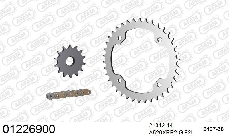 520XRR3 92 ARS (CLIP) GOLD & SPROCKETS