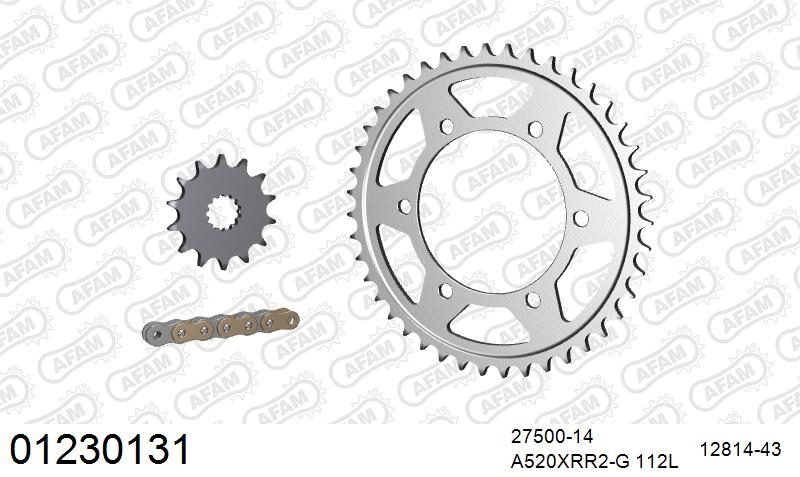 520XRR3 112 ARS (CLIP) GOLD & SPROCKETS