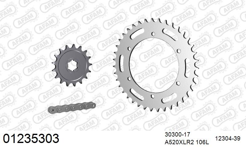 520XRR3 106 ARS (CLIP) GOLD & SPROCKETS