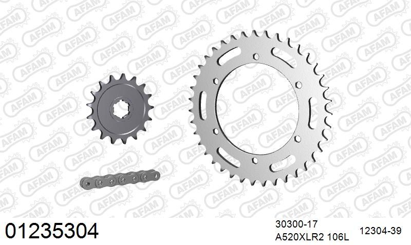 520XRR3 106 ARS (CLIP) GOLD & SPROCKETS
