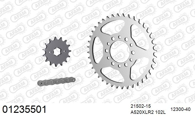 520XRR3 102 ARS (CLIP) GOLD & SPROCKETS