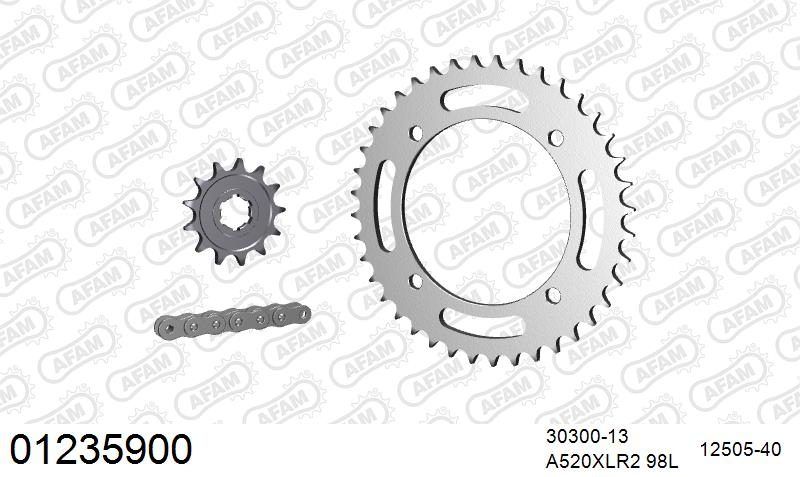 520XRR3 98 ARS (CLIP) GOLD & SPROCKETS