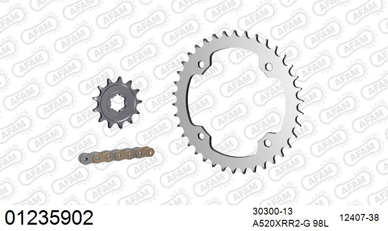 520XRR3 98 ARS (CLIP) GOLD & SPROCKETS