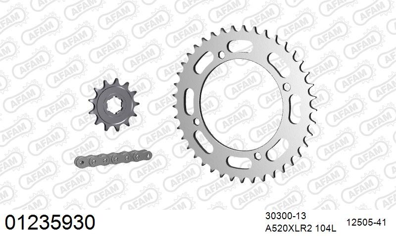 520XRR3 104 ARS (CLIP) GOLD & SPROCKETS