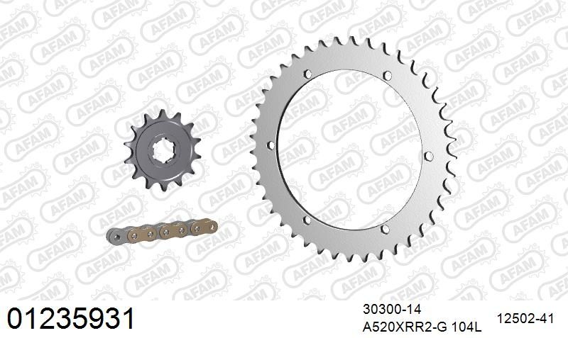 520XRR3 104 ARS (CLIP) GOLD & SPROCKETS