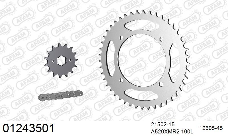 520XRR3 100 ARS (CLIP) GOLD & SPROCKETS