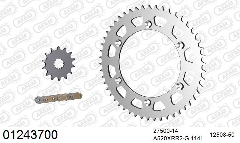 520XRR3 114 ARS (CLIP) GOLD & SPROCKETS