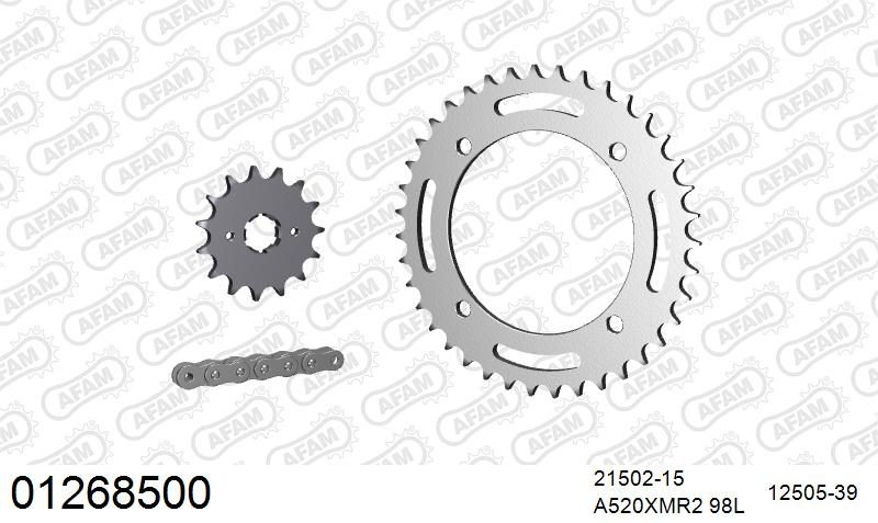 520XRR3 98 ARS (CLIP) GOLD & SPROCKETS