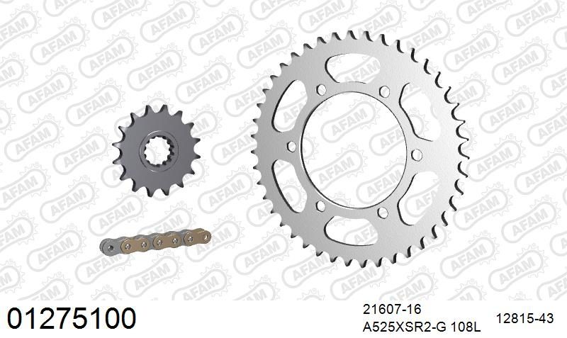 525XSR2 108 MRS (RIVET) GOLD & SPROCKETS