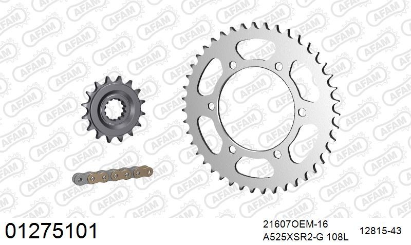 525XSR2 108 MRS (RIVET) GOLD & SPROCKETS