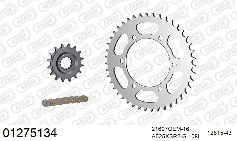 525XSR2 108 MRS (RIVET) GOLD & SPROCKETS