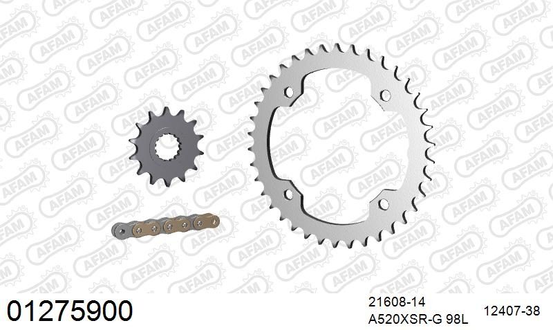 520XSR 98 MRS (RIVET) GOLD & SPROCKETS