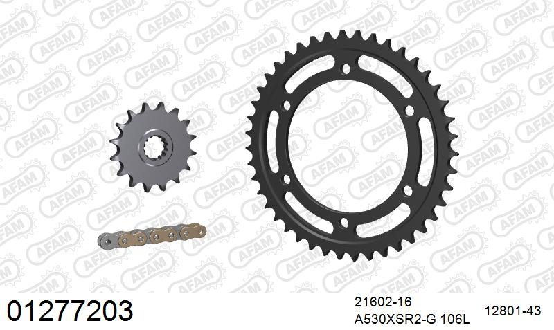 530XSR2 106 MRS (RIVET) GOLD & SPROCKETS