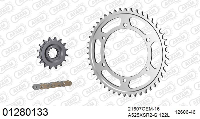525XSR2 122 MRS (RIVET) GOLD & SPROCKETS