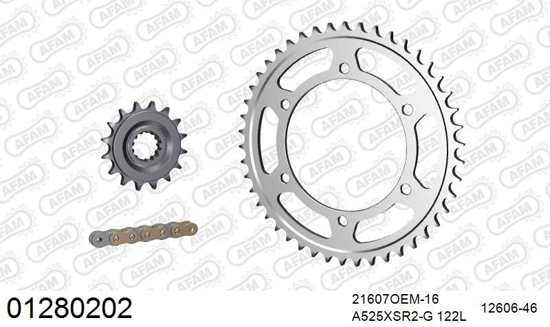 525XSR2 122 MRS (RIVET) GOLD & SPROCKETS