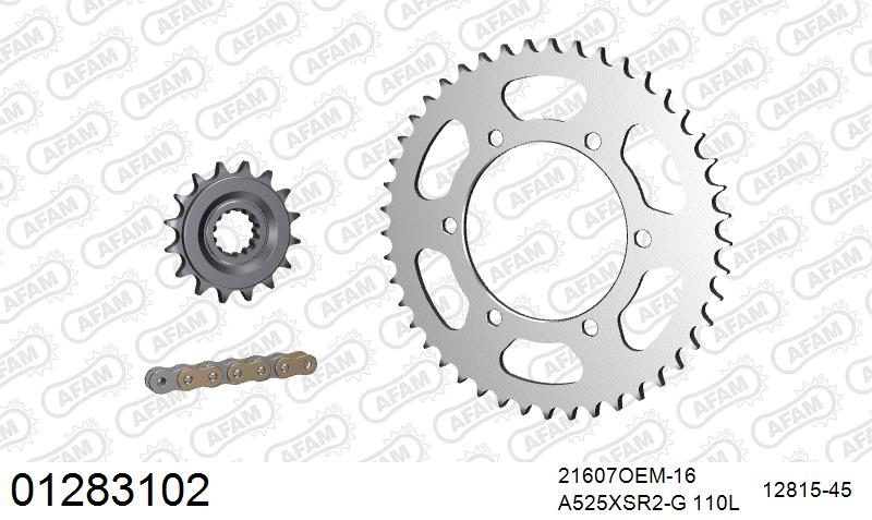 525XSR2 110 MRS (RIVET) GOLD & SPROCKETS