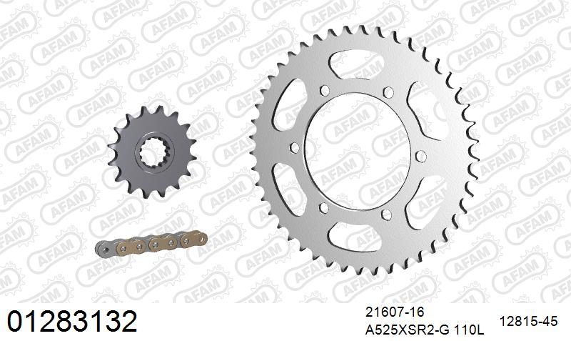 525XSR2 110 MRS (RIVET) GOLD & SPROCKETS