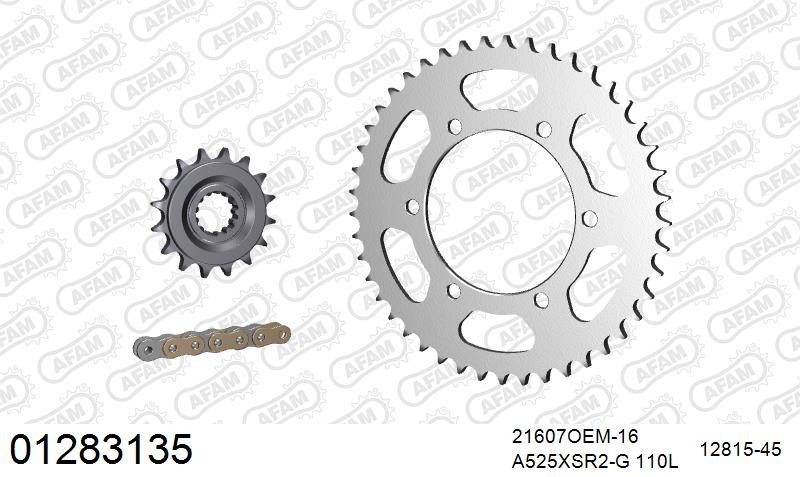 525XSR2 110 MRS (RIVET) GOLD & SPROCKETS