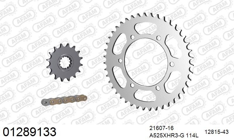 525XHR3 114 MRS (RIVET) GOLD & SPROCKETS