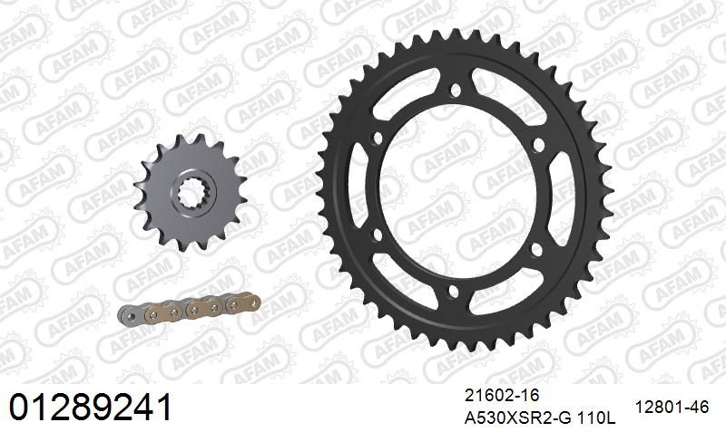 530XSR2 110 MRS (RIVET) GOLD & SPROCKETS