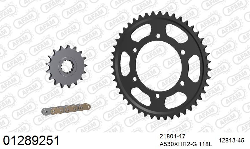 530XHR2 118 MRS (RIVET) GOLD & SPROCKETS