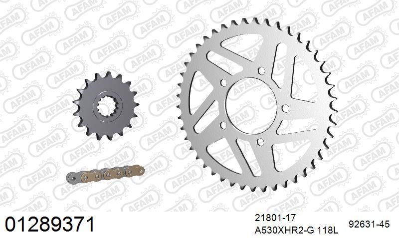 530XHR2 118 MRS (RIVET) GOLD & SPROCKETS