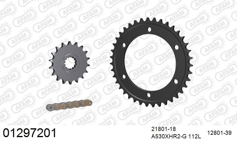 530XHR2 112 MRS (RIVET) GOLD & SPROCKETS