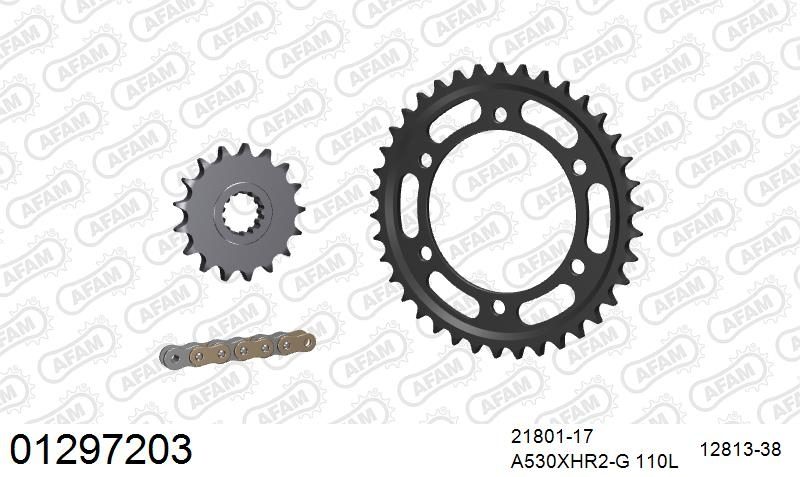 530XHR2 110 MRS (RIVET) GOLD & SPROCKETS