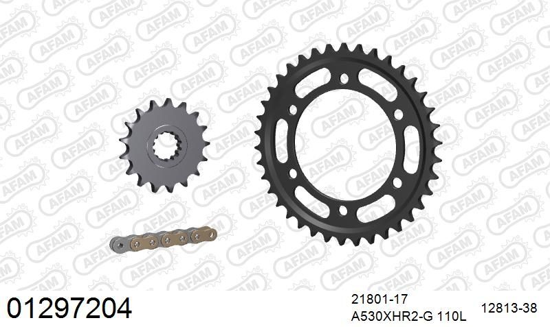 530XHR2 110 MRS (RIVET) GOLD & SPROCKETS