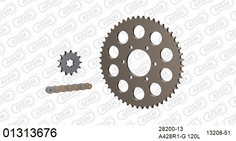 428R1 120 AR (CLIP) GOLD & SPROCKETS
