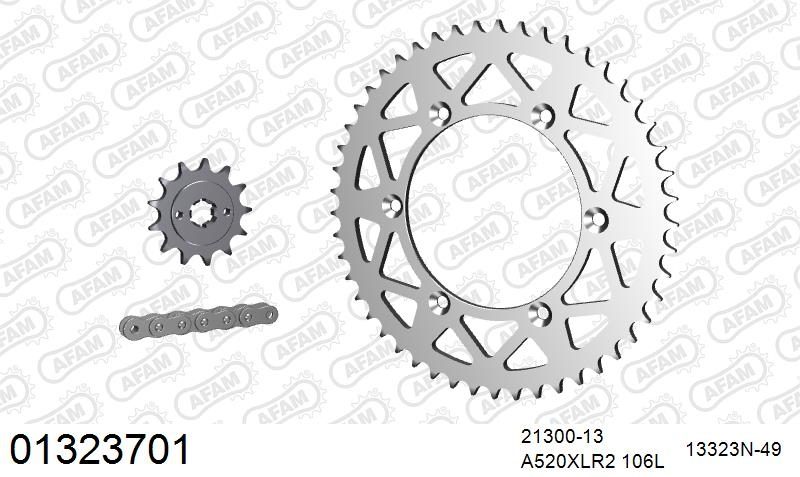 520XRR3 106 ARS (CLIP) GOLD & SPROCKETS