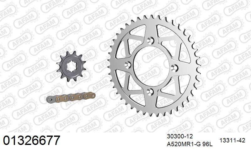 520MR2 96 ARS (CLIP) GOLD & SPROCKETS
