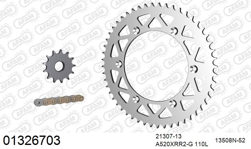 520XRR3 110 ARS (CLIP) GOLD & SPROCKETS