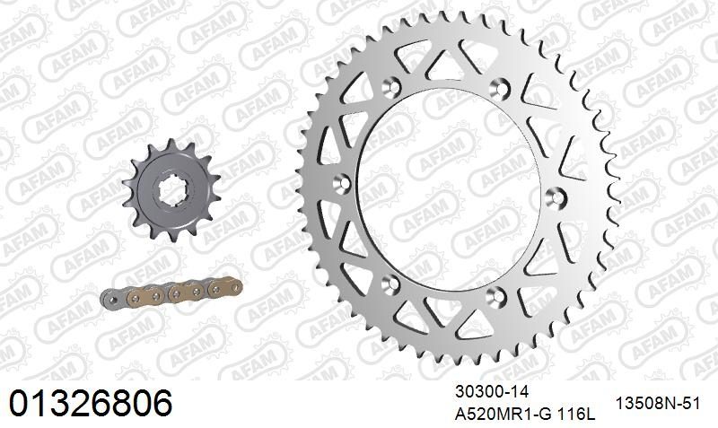 520MR2 116 ARS (CLIP) GOLD & SPROCKETS