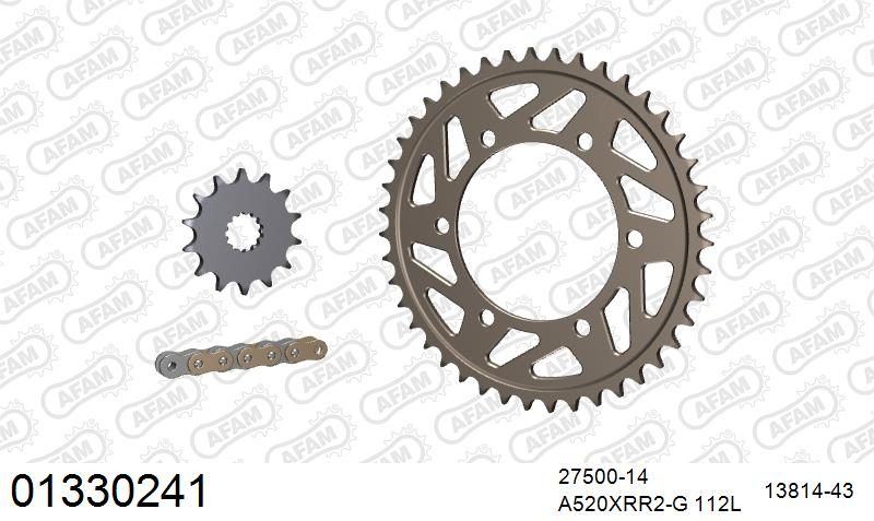 520XRR3 112 ARS (CLIP) GOLD & SPROCKETS