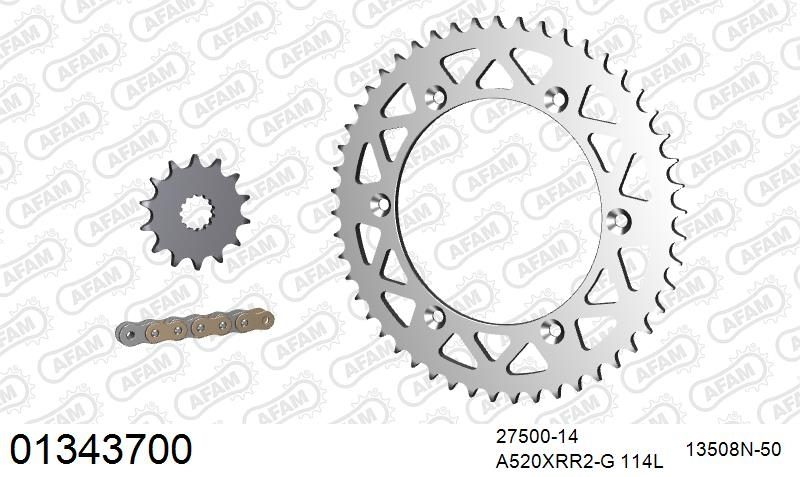 520XRR3 114 ARS (CLIP) GOLD & SPROCKETS