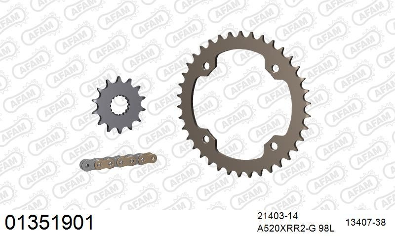 520XRR3 98 ARS (CLIP) GOLD & SPROCKETS