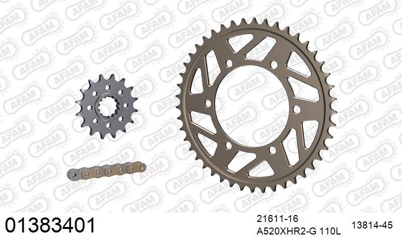 520XHR2 110 MRS (RIVET) GOLD & SPROCKETS