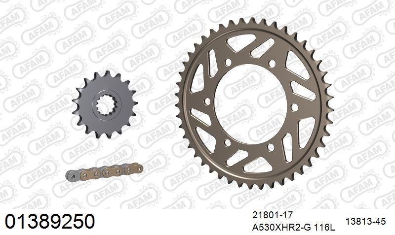 530XHR2 116 MRS (RIVET) GOLD & SPROCKETS
