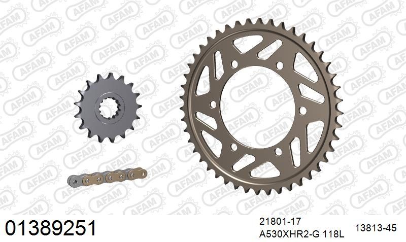 530XHR2 118 MRS (RIVET) GOLD & SPROCKETS