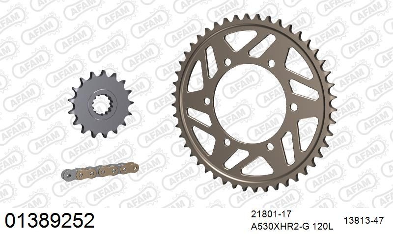 530XHR2 120 MRS (RIVET) GOLD & SPROCKETS