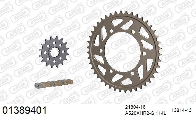520XHR2 114 MRS (RIVET) GOLD & SPROCKETS