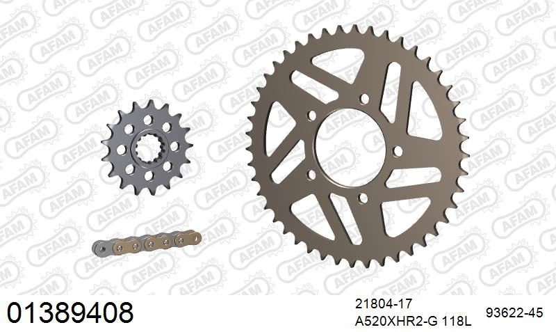 520XHR2 118 MRS (RIVET) GOLD & SPROCKETS