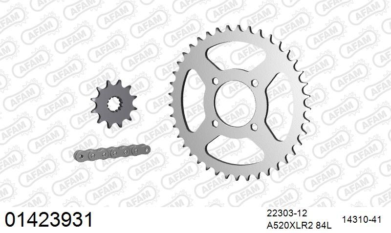 520XRR3 84 ARS (CLIP) GOLD & SPROCKETS
