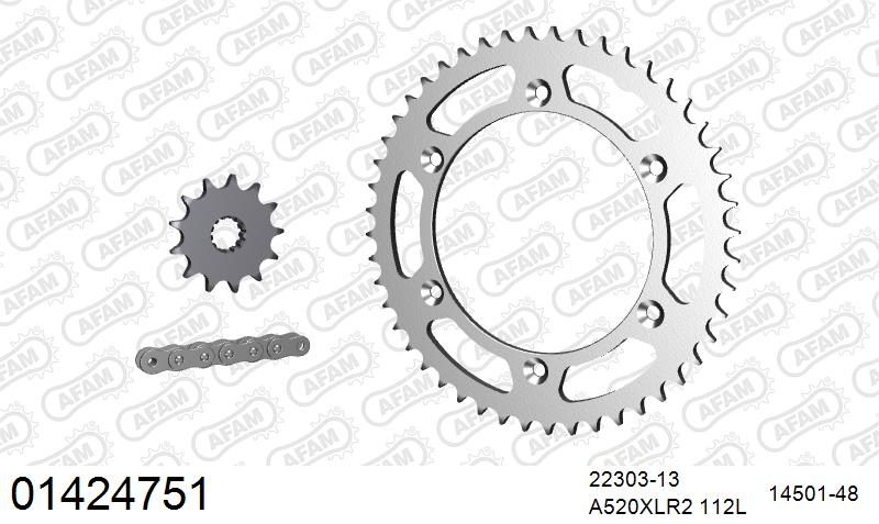 520XRR3 112 ARS (CLIP) GOLD & SPROCKETS