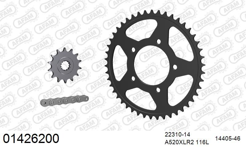520XRR3 116 ARS (CLIP) GOLD & SPROCKETS