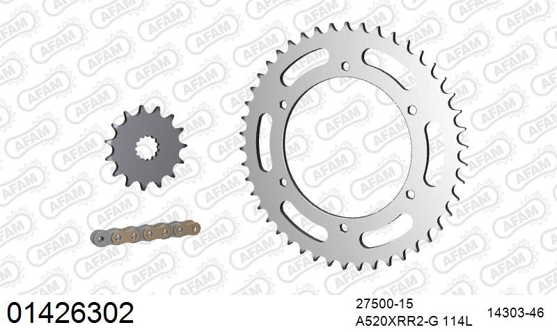 520XRR3 114 ARS (CLIP) GOLD & SPROCKETS